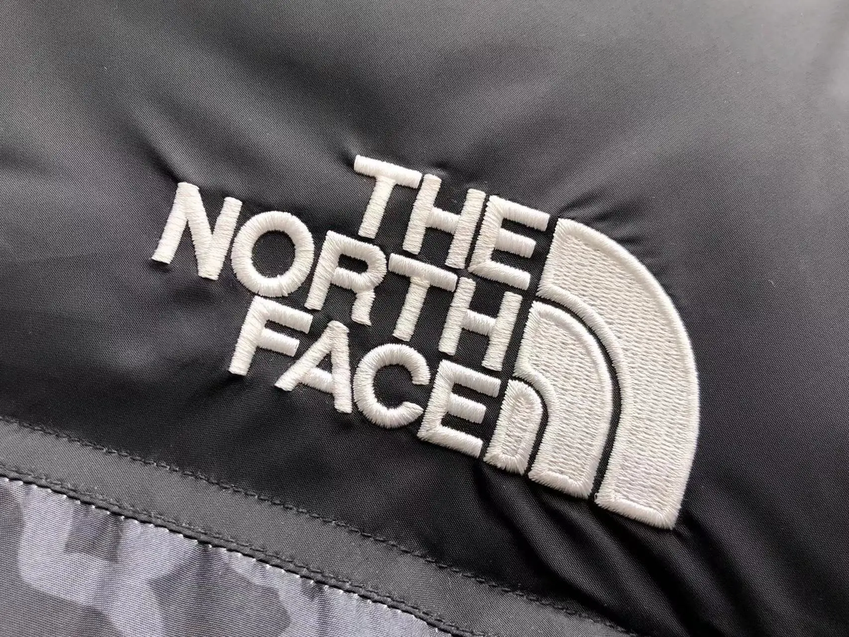 ⁦فاست نورث فايس⁩ - الصورة ⁦8⁩